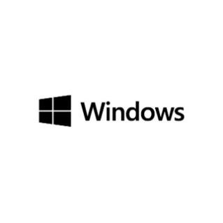Logotipo Windows utilizado pela PRG Software
